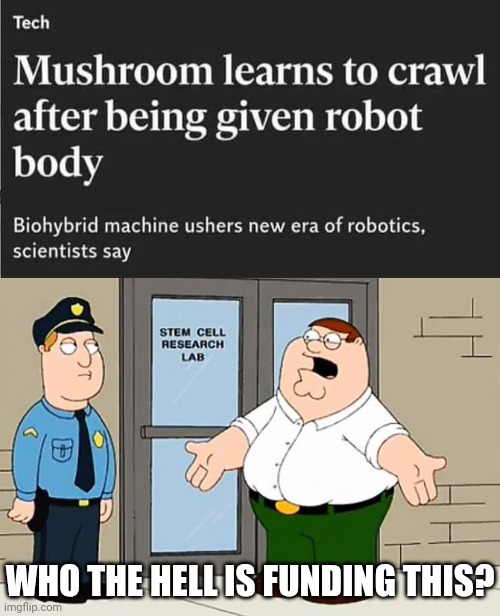 IT'S GOTTA BE SKYNET | WHO THE HELL IS FUNDING THIS? | image tagged in why are we not funding this,mushroom,science,robot | made w/ Imgflip meme maker