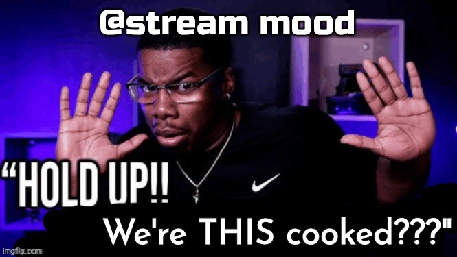 hold up. we're THIS cooked??? | @stream mood | image tagged in hold up we're this cooked | made w/ Imgflip meme maker