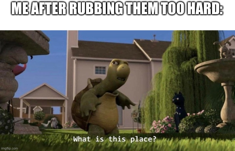 What is this place | ME AFTER RUBBING THEM TOO HARD: | image tagged in what is this place | made w/ Imgflip meme maker