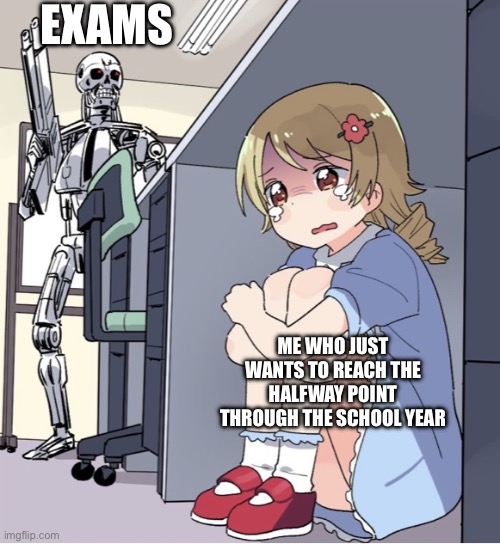 Exams are the worst | EXAMS; ME WHO JUST WANTS TO REACH THE HALFWAY POINT THROUGH THE SCHOOL YEAR | image tagged in anime girl hiding from terminator | made w/ Imgflip meme maker