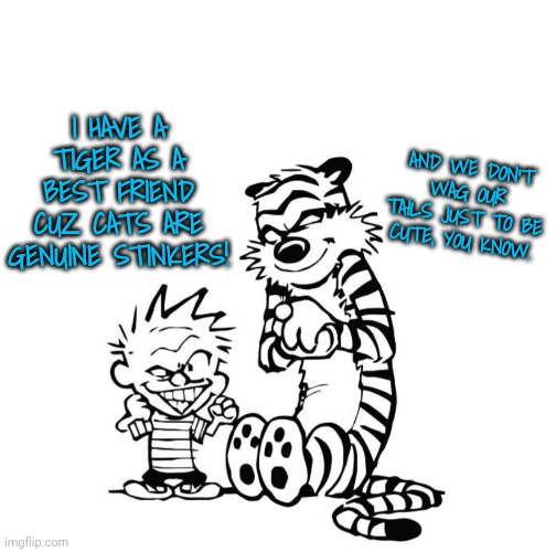 My Best Friend | AND WE DON'T WAG OUR TAILS JUST TO BE CUTE, YOU KNOW. I HAVE A TIGER AS A BEST FRIEND CUZ CATS ARE GENUINE STINKERS! | image tagged in that's right,cats | made w/ Imgflip meme maker