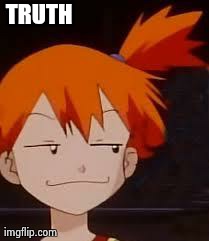 Derp Face Misty | TRUTH | image tagged in derp face misty | made w/ Imgflip meme maker