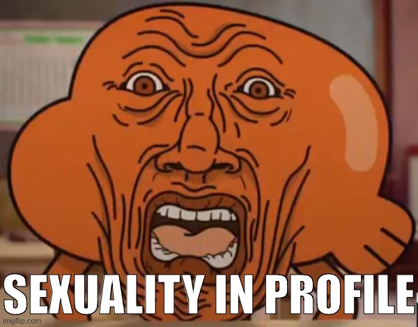 gumball darwin upset | SEXUALITY IN PROFILE | image tagged in gumball darwin upset | made w/ Imgflip meme maker