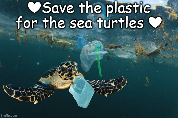 ❤Save the plastic for the sea turtles ❤ | image tagged in msmg | made w/ Imgflip meme maker