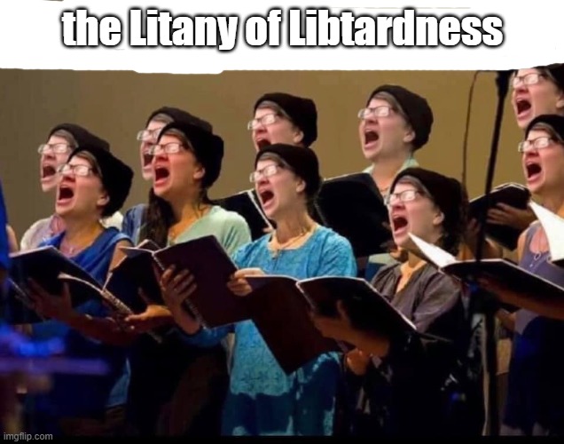 triggered liberals 2020 election day | the Litany of Libtardness | image tagged in triggered liberals 2020 election day | made w/ Imgflip meme maker