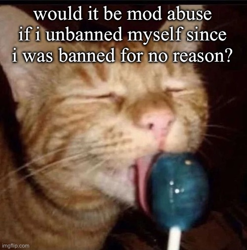 silly goober 2 | would it be mod abuse if i unbanned myself since i was banned for no reason? | image tagged in silly goober 2 | made w/ Imgflip meme maker