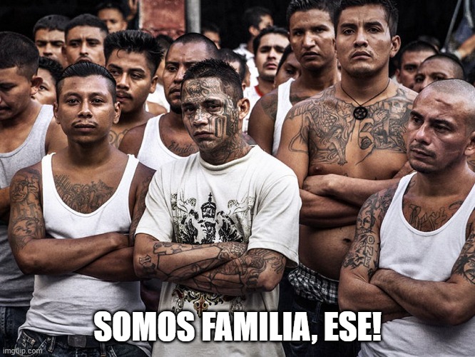 ms-13 dreamers daca | SOMOS FAMILIA, ESE! | image tagged in ms-13 dreamers daca | made w/ Imgflip meme maker