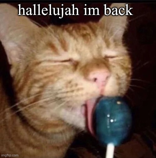 silly goober 2 | hallelujah im back | image tagged in silly goober 2 | made w/ Imgflip meme maker