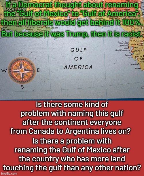 Maybe it's because libs hate Amerigo Vespucci.  Under normal circumstances most people wouldn't care.  TDS is a serious problem. | If a Democrat thought about renaming the "Gulf of Mexico" to "Gulf of America", then all liberals would get behind it 100%. But because it was Trump, then it is racist. Is there some kind of problem with naming this gulf after the continent everyone from Canada to Argentina lives on? Is there a problem with renaming the Gulf of Mexico after the country who has more land touching the gulf than any other nation? | image tagged in trump derangement syndrome,liberalism is a mental illness | made w/ Imgflip meme maker