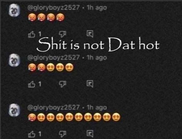 Shit is not Dat hot | image tagged in shit is not dat hot | made w/ Imgflip meme maker