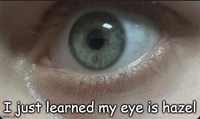 I googled it | I just learned my eye is hazel | image tagged in m | made w/ Imgflip meme maker