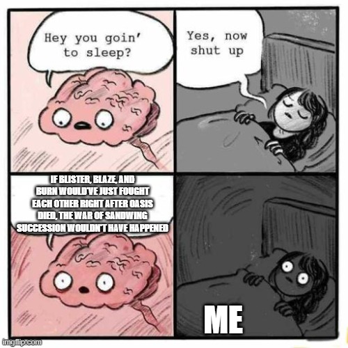 i lie awake this very moment, pondering over this predicament | IF BLISTER, BLAZE, AND BURN WOULD'VE JUST FOUGHT EACH OTHER RIGHT AFTER OASIS DIED, THE WAR OF SANDWING SUCCESSION WOULDN'T HAVE HAPPENED; ME | image tagged in hey you going to sleep | made w/ Imgflip meme maker
