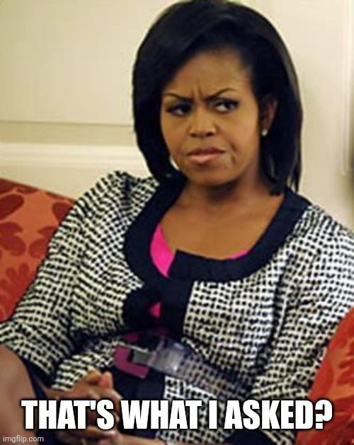 Michelle Obama is not pleased | THAT'S WHAT I ASKED? | image tagged in michelle obama is not pleased | made w/ Imgflip meme maker