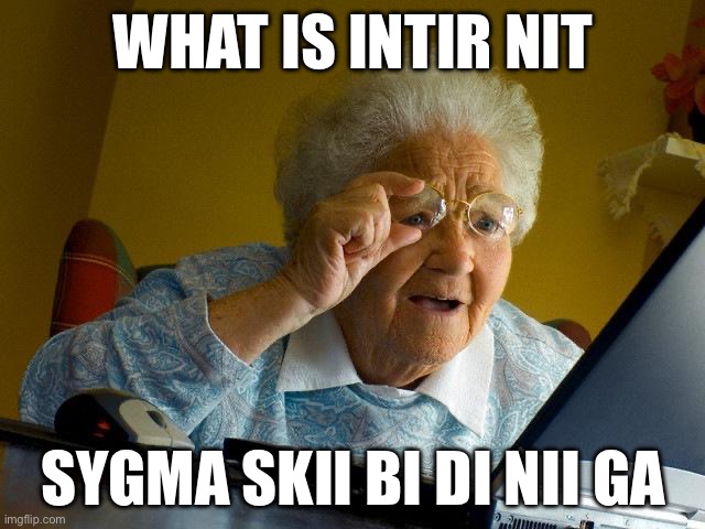 Brainrotted grandma | WHAT IS INTIR NIT; SYGMA SKII BI DI NII GA | image tagged in memes,grandma finds the internet | made w/ Imgflip meme maker