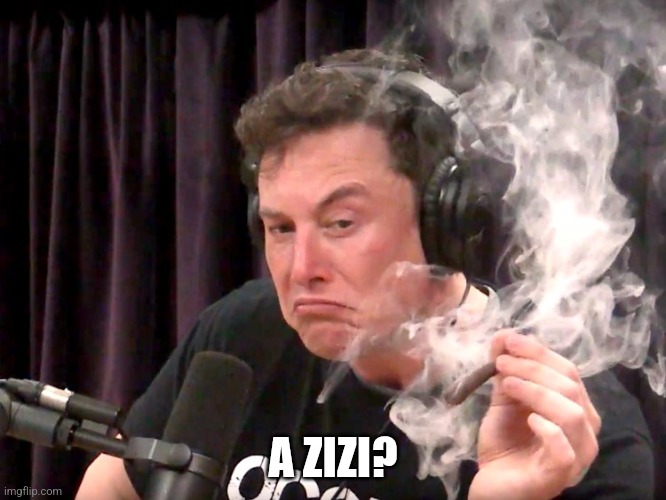 Elon Musk Weed | A ZIZI? | image tagged in elon musk weed | made w/ Imgflip meme maker