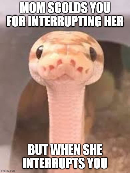 Snek stare | MOM SCOLDS YOU FOR INTERRUPTING HER; BUT WHEN SHE INTERRUPTS YOU | image tagged in snek stare,seriously,talking,snek,mom,relatable | made w/ Imgflip meme maker