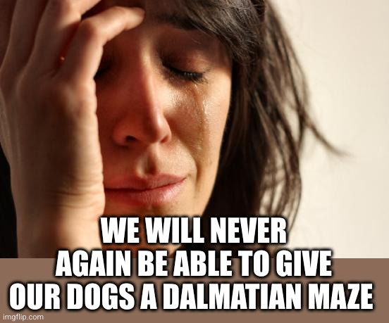 First World Problems Meme | WE WILL NEVER AGAIN BE ABLE TO GIVE OUR DOGS A DALMATIAN MAZE | image tagged in memes,first world problems | made w/ Imgflip meme maker