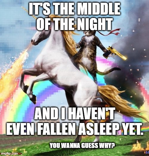 no title | IT'S THE MIDDLE OF THE NIGHT; AND I HAVEN'T EVEN FALLEN ASLEEP YET. YOU WANNA GUESS WHY? | image tagged in memes,welcome to the internets | made w/ Imgflip meme maker