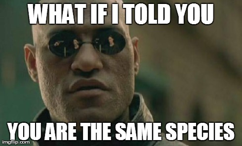 Matrix Morpheus Meme | WHAT IF I TOLD YOU YOU ARE THE SAME SPECIES | image tagged in memes,matrix morpheus,AdviceAnimals | made w/ Imgflip meme maker