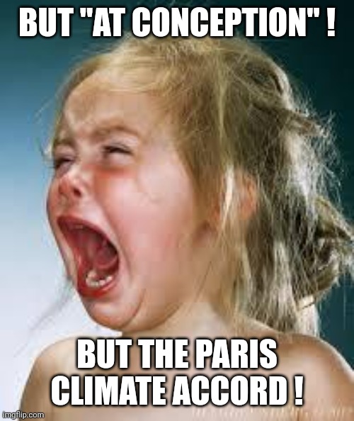 Crying Baby | BUT "AT CONCEPTION" ! BUT THE PARIS CLIMATE ACCORD ! | image tagged in crying baby | made w/ Imgflip meme maker