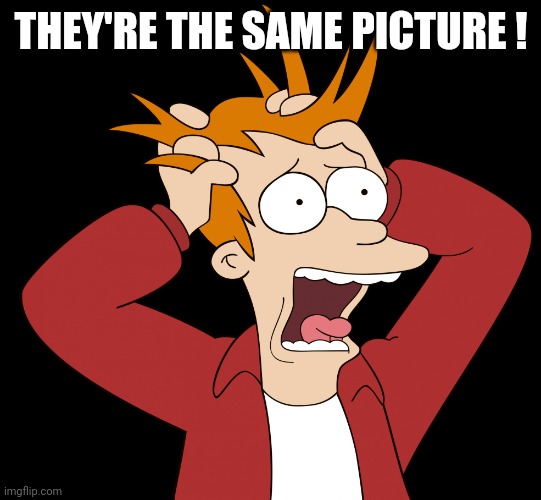 Futurama Fry Screaming | THEY'RE THE SAME PICTURE ! | image tagged in futurama fry screaming | made w/ Imgflip meme maker