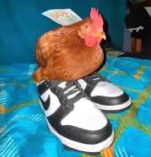 Chicken with shoes Blank Meme Template