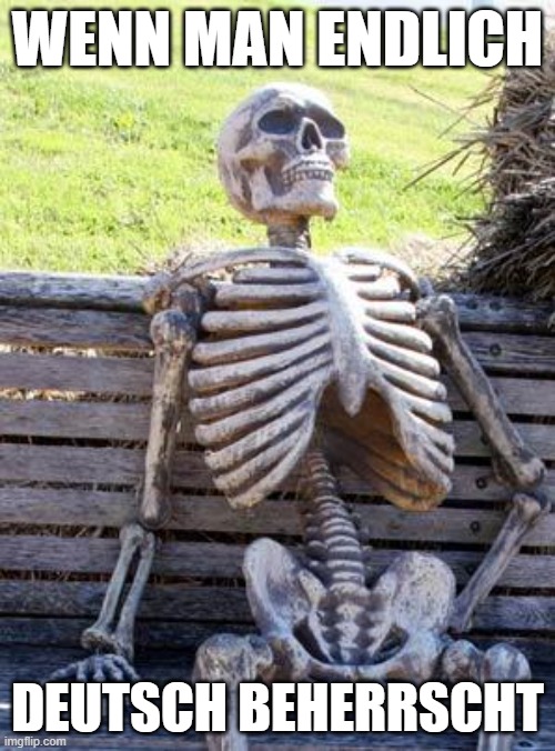 Tod | WENN MAN ENDLICH; DEUTSCH BEHERRSCHT | image tagged in memes,waiting skeleton | made w/ Imgflip meme maker