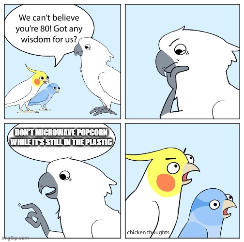 wise old cockatoo | DON'T MICROWAVE POPCORN WHILE IT'S STILL IN THE PLASTIC | image tagged in wise old cockatoo | made w/ Imgflip meme maker