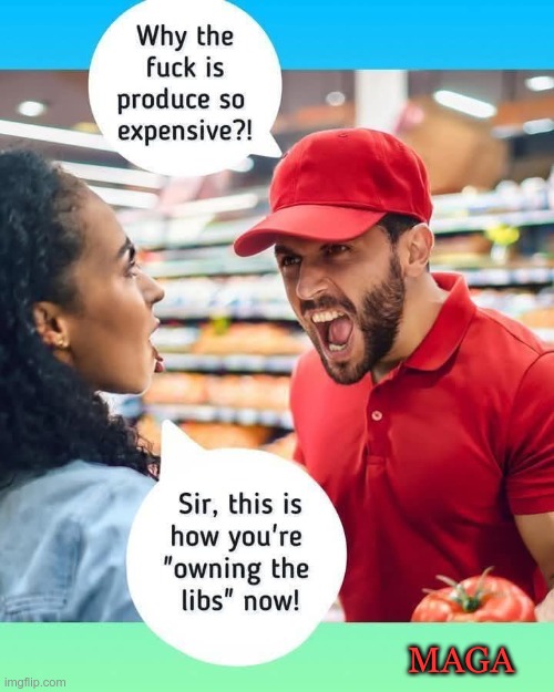 Owning The Libs | MAGA | image tagged in trump,gop,maga,nazi,fascists,grocery store | made w/ Imgflip meme maker