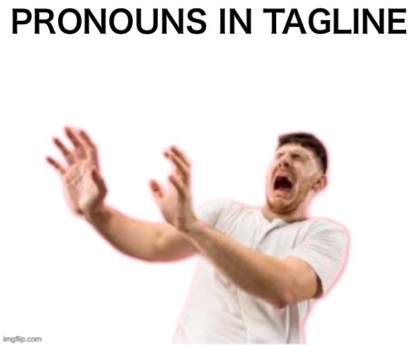 @who? | PRONOUNS IN TAGLINE | image tagged in he left all caps on custom | made w/ Imgflip meme maker