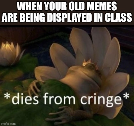 Dies from cringe | WHEN YOUR OLD MEMES ARE BEING DISPLAYED IN CLASS | image tagged in dies from cringe | made w/ Imgflip meme maker