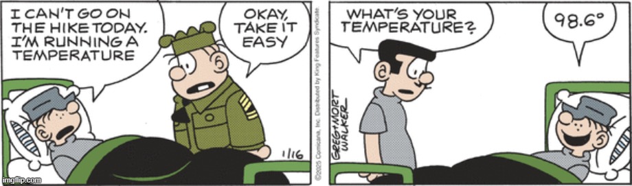 Beetle Bailey | image tagged in comics | made w/ Imgflip meme maker