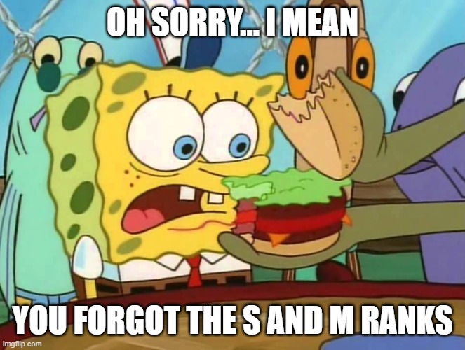 you forgot the X | OH SORRY... I MEAN YOU FORGOT THE S AND M RANKS | image tagged in you forgot the x | made w/ Imgflip meme maker