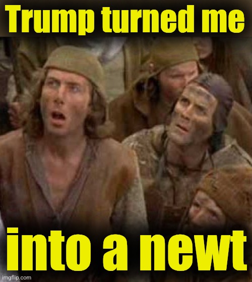 Turned me into a newt | Trump turned me into a newt | image tagged in turned me into a newt | made w/ Imgflip meme maker