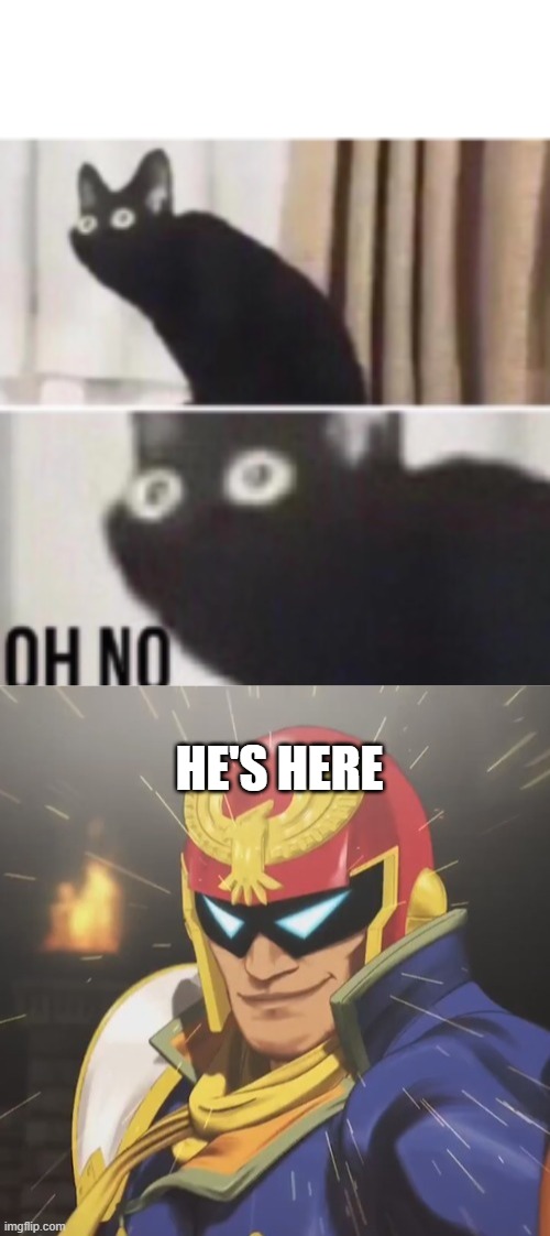 HE'S HERE | image tagged in oh no cat,falcon punch | made w/ Imgflip meme maker