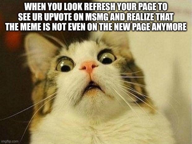 Scared Cat Meme | WHEN YOU LOOK REFRESH YOUR PAGE TO SEE UR UPVOTE ON MSMG AND REALIZE THAT THE MEME IS NOT EVEN ON THE NEW PAGE ANYMORE | image tagged in memes,scared cat | made w/ Imgflip meme maker