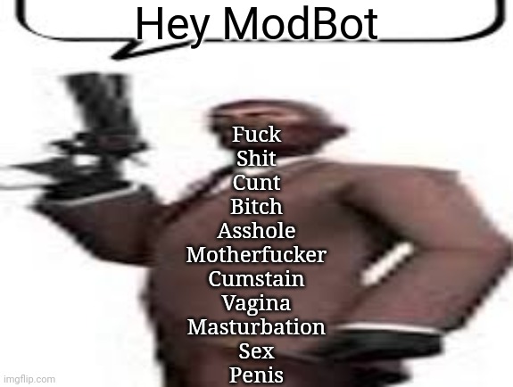 Tf2 spy | Hey ModBot; Fuck
Shit
Cunt
Bitch
Asshole
Motherfucker
Cumstain
Vagina
Masturbation
Sex
Penis | image tagged in tf2 spy,msmg,memes | made w/ Imgflip meme maker