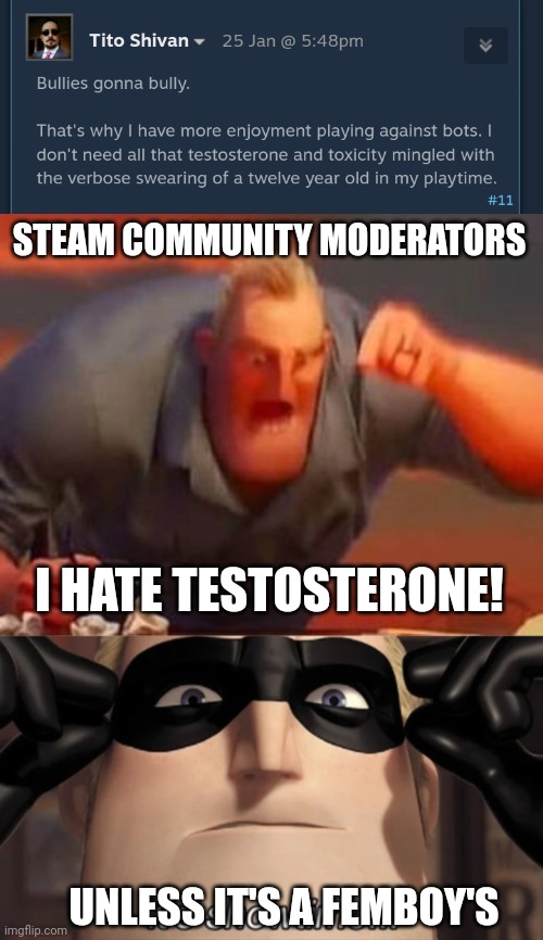 STEAM COMMUNITY MODERATORS; I HATE TESTOSTERONE! UNLESS IT'S A FEMBOY'S | image tagged in mr incredible mad,show time | made w/ Imgflip meme maker