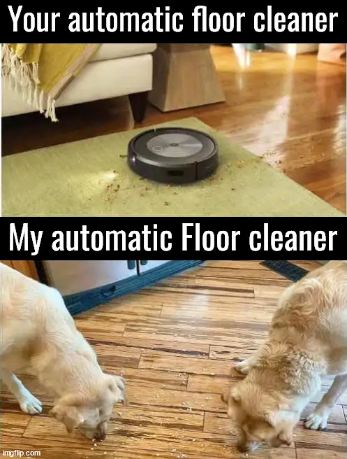 Cleaning my floor | Your automatic floor cleaner; My automatic Floor cleaner | image tagged in dogs | made w/ Imgflip meme maker