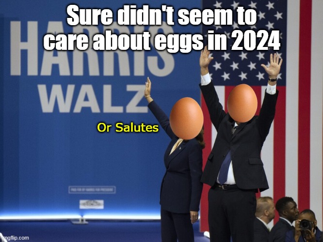 EGGS EGGS EGGS ! | Sure didn't seem to care about eggs in 2024; Or Salutes | image tagged in harris walz egg heads meme | made w/ Imgflip meme maker