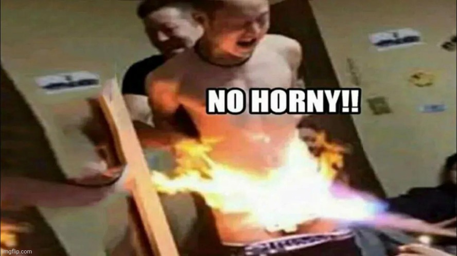 NO HORNY | image tagged in no horny | made w/ Imgflip meme maker