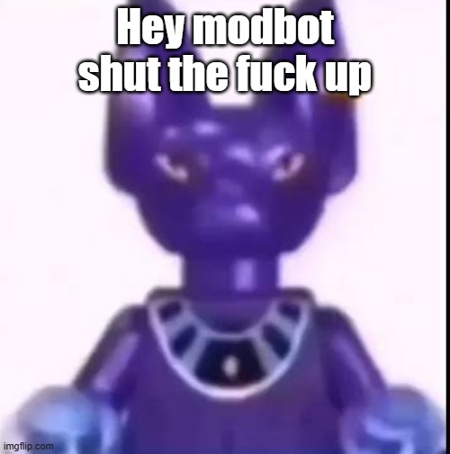 beerus | Hey modbot shut the fuck up | image tagged in beerus | made w/ Imgflip meme maker