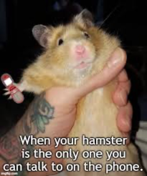 Comforting hamster | made w/ Imgflip meme maker