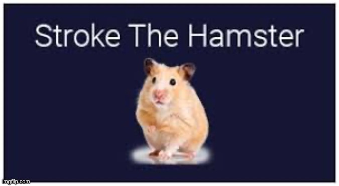 Stroke thy hampter | made w/ Imgflip meme maker