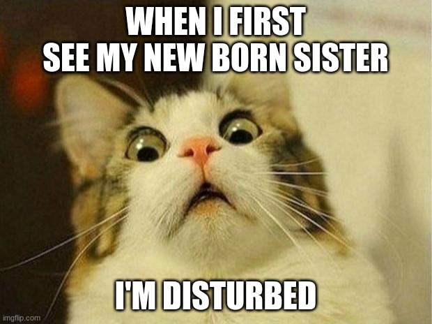 Scared Cat | WHEN I FIRST SEE MY NEW BORN SISTER; I'M DISTURBED | image tagged in memes,scared cat | made w/ Imgflip meme maker