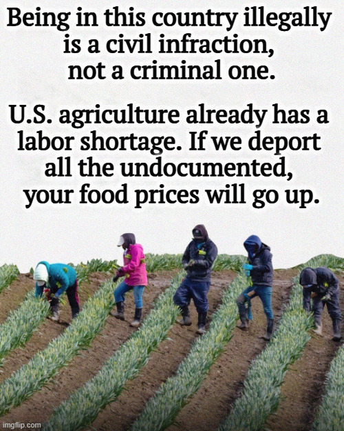 Being in this country illegally 
is a civil infraction, 
not a criminal one. U.S. agriculture already has a 
labor shortage. If we deport 
all the undocumented, 
your food prices will go up. | image tagged in trump,bigotry,illegal immigrants,food,agriculture,deportation | made w/ Imgflip meme maker