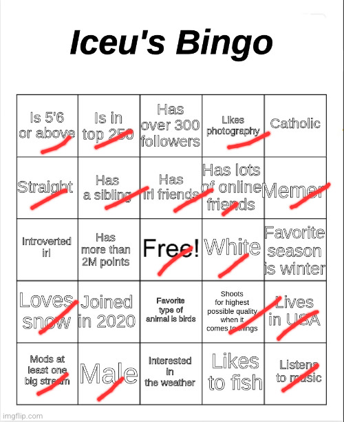 Ice bingo | image tagged in iceu's bingo,bingo,iceu | made w/ Imgflip meme maker