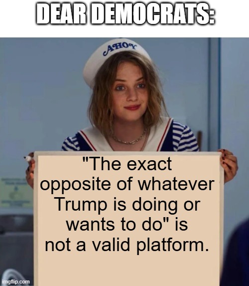 Robin Stranger Things Meme | "The exact opposite of whatever Trump is doing or wants to do" is not a valid platform. DEAR DEMOCRATS: | image tagged in robin stranger things meme | made w/ Imgflip meme maker