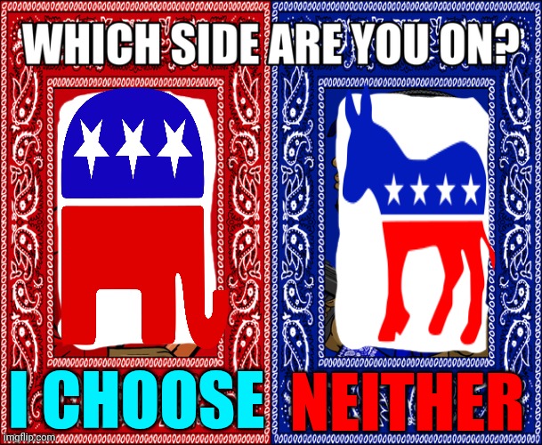 One Side Is Lead By A Convicted Rapist That Commited 34 Felonies Against The USA And Nobody Represents From The Other Side | I CHOOSE; NEITHER | image tagged in which side are you on,donald trump is a convicted rapist,donald trump is a convicted felon,lock him up,democrats,memes | made w/ Imgflip meme maker