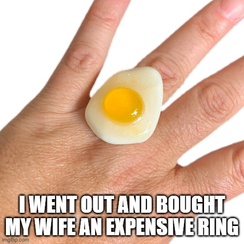 memes by Brad - I just went out and bought my wife an expensive ring. | I WENT OUT AND BOUGHT MY WIFE AN EXPENSIVE RING | image tagged in funny,fun,ring,eggs,humor,jewelry | made w/ Imgflip meme maker